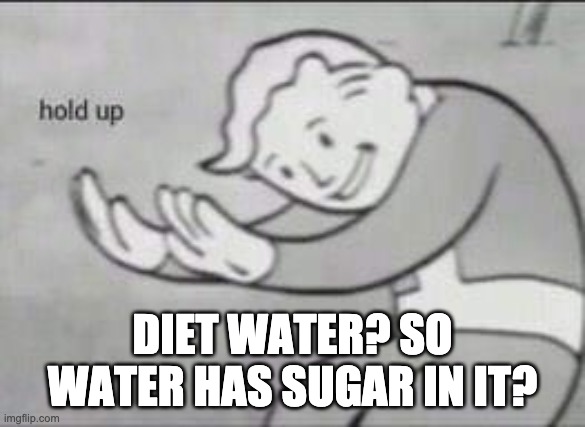 Fallout Hold Up | DIET WATER? SO WATER HAS SUGAR IN IT? | image tagged in fallout hold up | made w/ Imgflip meme maker