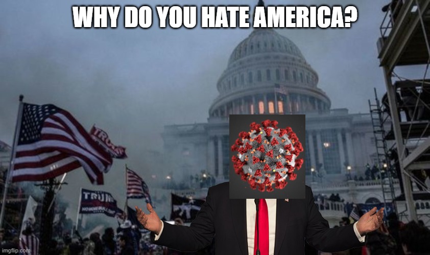 misconstrued coup | WHY DO YOU HATE AMERICA? | image tagged in misconstrued coup | made w/ Imgflip meme maker