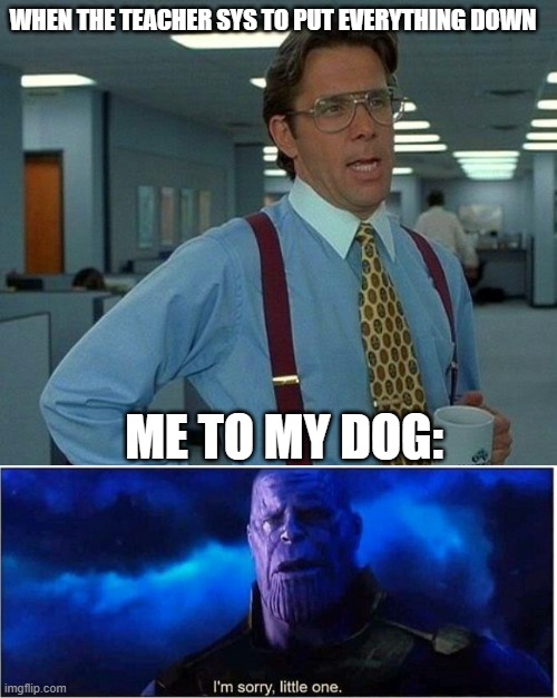 WHEN THE TEACHER SYS TO PUT EVERYTHING DOWN; ME TO MY DOG: | image tagged in memes,that would be great,thanos i'm sorry little one | made w/ Imgflip meme maker