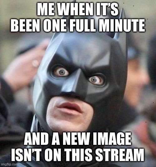 LOL | ME WHEN IT’S BEEN ONE FULL MINUTE; AND A NEW IMAGE ISN’T ON THIS STREAM | image tagged in shocked batman | made w/ Imgflip meme maker