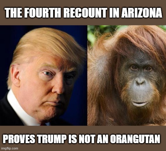 Do You Believe THE BIG LIE? | THE FOURTH RECOUNT IN ARIZONA; PROVES TRUMP IS NOT AN ORANGUTAN | image tagged in donald trump is an orangutan,trump lost,the big lie,trumptards | made w/ Imgflip meme maker
