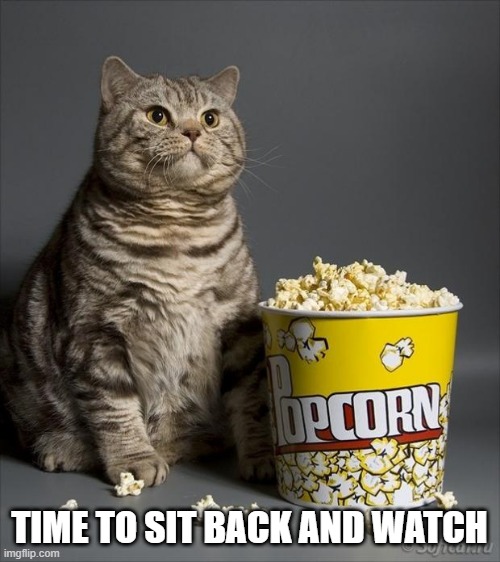 Cat eating popcorn | TIME TO SIT BACK AND WATCH | image tagged in cat eating popcorn | made w/ Imgflip meme maker