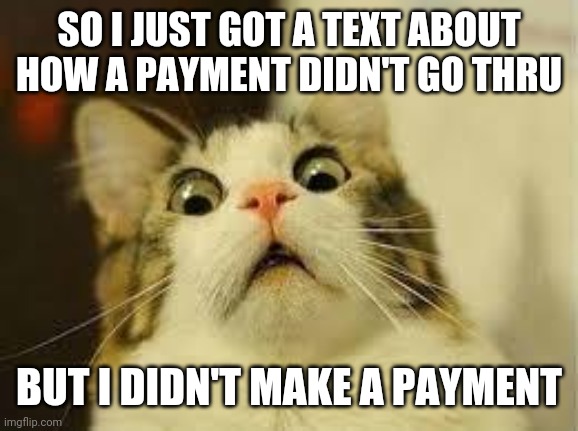 Oop | SO I JUST GOT A TEXT ABOUT HOW A PAYMENT DIDN'T GO THRU; BUT I DIDN'T MAKE A PAYMENT | image tagged in shocked cat | made w/ Imgflip meme maker