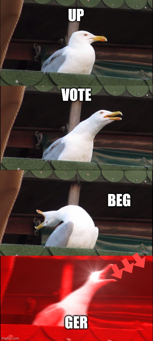 [Insert actual good title here] | UP; VOTE; BEG; GER | image tagged in memes,inhaling seagull | made w/ Imgflip meme maker