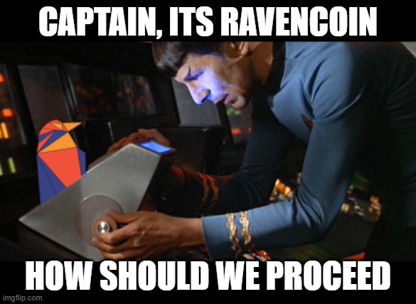 Ravencoin | CAPTAIN, ITS RAVENCOIN; HOW SHOULD WE PROCEED | image tagged in spock ravencoin | made w/ Imgflip meme maker