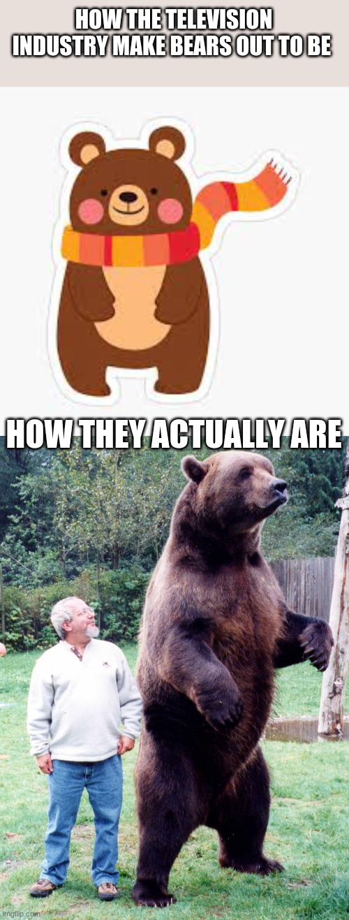 why they always try to flip reality lol | HOW THE TELEVISION INDUSTRY MAKE BEARS OUT TO BE; HOW THEY ACTUALLY ARE | made w/ Imgflip meme maker