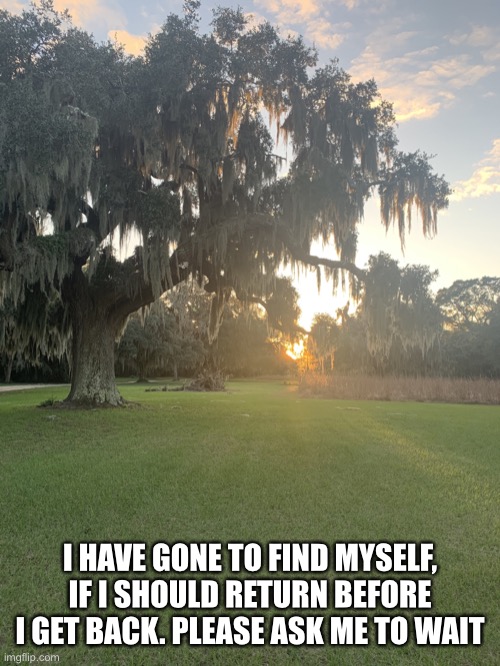 Michell | I HAVE GONE TO FIND MYSELF, IF I SHOULD RETURN BEFORE I GET BACK. PLEASE ASK ME TO WAIT | image tagged in michell | made w/ Imgflip meme maker