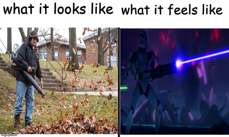 what it feels like; what it looks like | image tagged in funny memes,funny,memes | made w/ Imgflip meme maker
