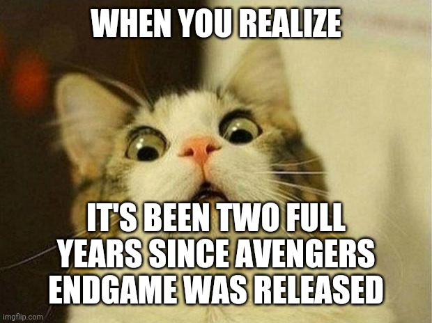 Time passes quickly | WHEN YOU REALIZE; IT'S BEEN TWO FULL YEARS SINCE AVENGERS ENDGAME WAS RELEASED | image tagged in scared cat,avengers endgame,funny,uh oh,time | made w/ Imgflip meme maker