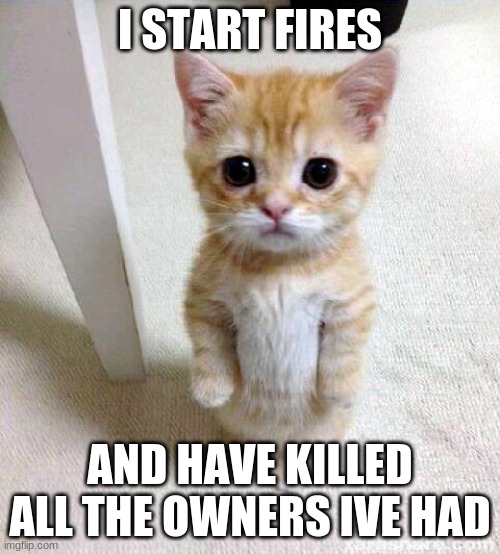Cute Cat | I START FIRES; AND HAVE KILLED ALL THE OWNERS IVE HAD | image tagged in memes,cute cat | made w/ Imgflip meme maker