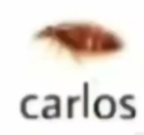 High Quality Carlos Blank Meme Template