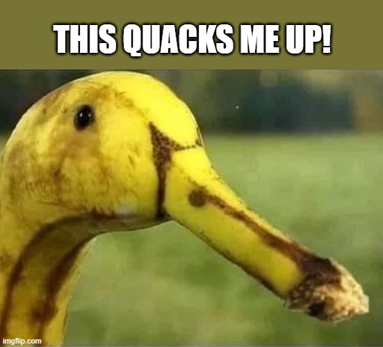 THIS QUACKS ME UP! | made w/ Imgflip meme maker