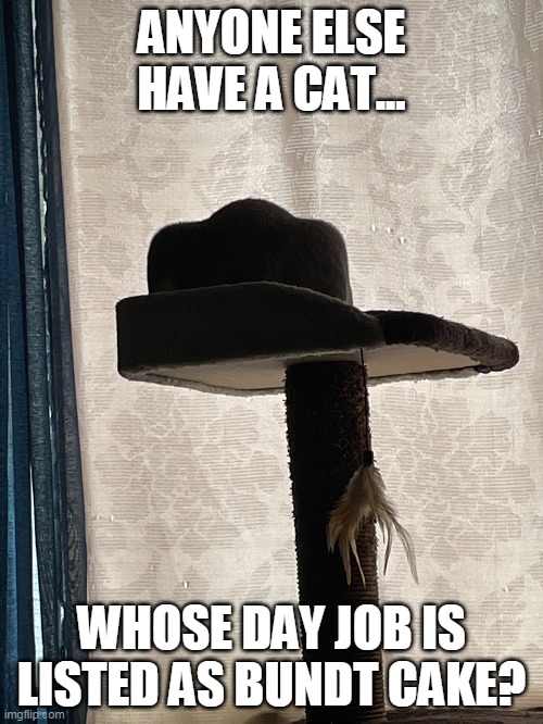 Bundt Cake Cat | ANYONE ELSE HAVE A CAT... WHOSE DAY JOB IS LISTED AS BUNDT CAKE? | image tagged in cat | made w/ Imgflip meme maker