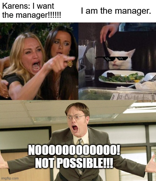 The End of a Bad Karen | Karens: I want the manager!!!!!! I am the manager. NOOOOOOOOOOOO!
NOT POSSIBLE!!! | image tagged in memes,woman yelling at cat | made w/ Imgflip meme maker