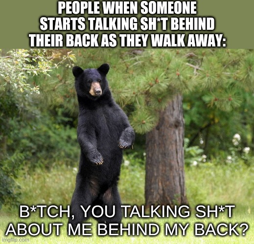 true | PEOPLE WHEN SOMEONE STARTS TALKING SH*T BEHIND THEIR BACK AS THEY WALK AWAY:; B*TCH, YOU TALKING SH*T ABOUT ME BEHIND MY BACK? | image tagged in standing bear | made w/ Imgflip meme maker