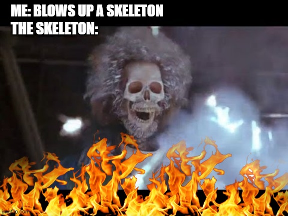 ME: BLOWS UP A SKELETON; THE SKELETON: | image tagged in home alone | made w/ Imgflip meme maker