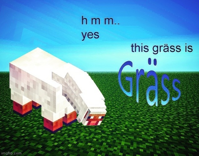 The grass is grass | image tagged in the grass is grass | made w/ Imgflip meme maker