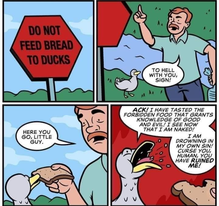 Do not feed bread to ducks Blank Meme Template