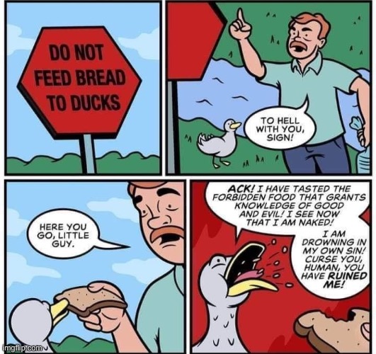lmao | image tagged in do not feed bread to ducks,repost,comics/cartoons,comics,christianity,christian | made w/ Imgflip meme maker