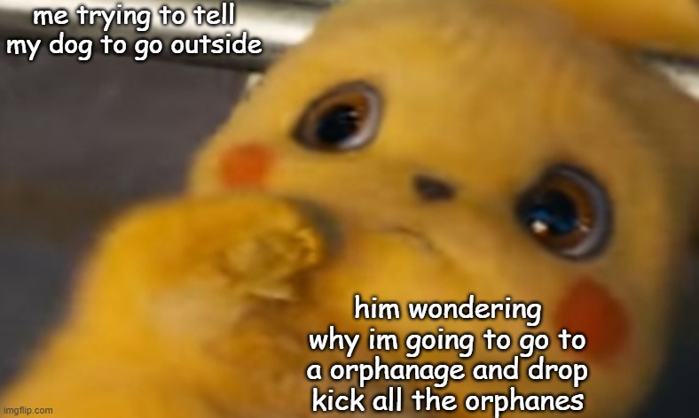 Scared Pikachu |  me trying to tell my dog to go outside; him wondering why im going to go to a orphanage and drop kick all the orphanes | image tagged in scared pikachu | made w/ Imgflip meme maker