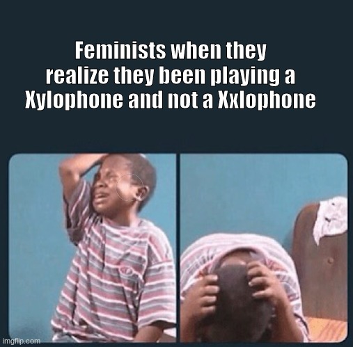 so sad | Feminists when they realize they been playing a Xylophone and not a Xxlophone | image tagged in black kid crying with knife | made w/ Imgflip meme maker