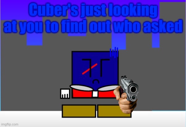 Cuber's just looking at you to find out who asked | image tagged in cuber's just looking at you to find out who asked | made w/ Imgflip meme maker