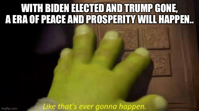 The world unfortunately | WITH BIDEN ELECTED AND TRUMP GONE, A ERA OF PEACE AND PROSPERITY WILL HAPPEN.. | image tagged in like that's ever gonna happen | made w/ Imgflip meme maker
