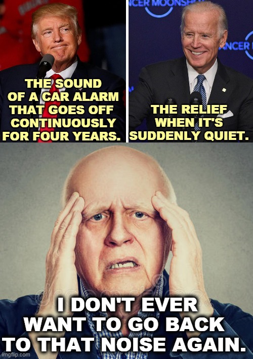 Shhh.. | THE SOUND OF A CAR ALARM THAT GOES OFF 
CONTINUOUSLY FOR FOUR YEARS. THE RELIEF WHEN IT'S SUDDENLY QUIET. I DON'T EVER WANT TO GO BACK TO THAT NOISE AGAIN. | image tagged in trump,noise,biden,quiet,peaceful | made w/ Imgflip meme maker