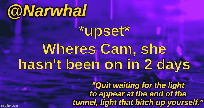 I M I S S H E R S O M U C H | *upset*; Wheres Cam, she hasn't been on in 2 days | image tagged in narwhal announcement temp | made w/ Imgflip meme maker