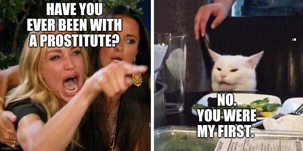 Smudge the cat | HAVE YOU EVER BEEN WITH A PROSTITUTE? NO. YOU WERE MY FIRST. J M | image tagged in smudge the cat | made w/ Imgflip meme maker