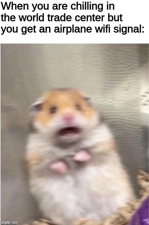 oh this is funny- WAIT | When you are chilling in the world trade center but you get an airplane wifi signal: | image tagged in blank white template,scared hamster,funny,memes,barney will eat all of your delectable biscuits,funny memes | made w/ Imgflip meme maker