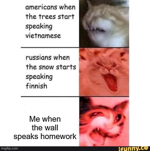 Power of mom and dad |  Me when the wall speaks homework | image tagged in americans when,history,funny as fuq | made w/ Imgflip meme maker