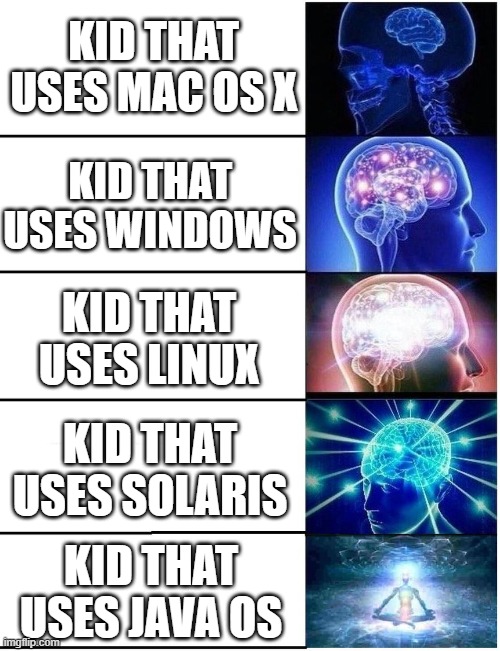 Kids and OS's | KID THAT USES MAC OS X; KID THAT USES WINDOWS; KID THAT USES LINUX; KID THAT USES SOLARIS; KID THAT USES JAVA OS | image tagged in expanding brain 5 panel | made w/ Imgflip meme maker