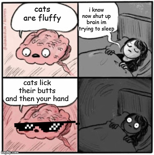 Brain Before Sleep | i know now shut up brain im trying to sleep; cats are fluffy; cats lick their butts and then your hand | image tagged in brain before sleep | made w/ Imgflip meme maker