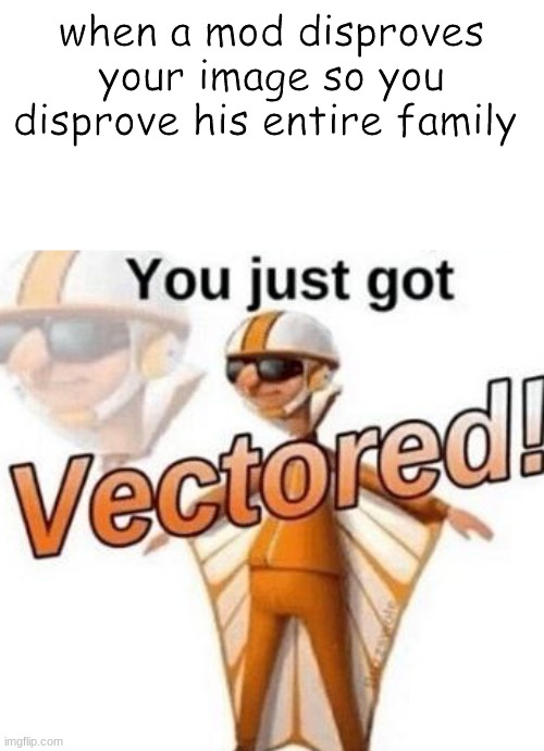 You just got vectored | when a mod disproves your image so you disprove his entire family | image tagged in you just got vectored | made w/ Imgflip meme maker