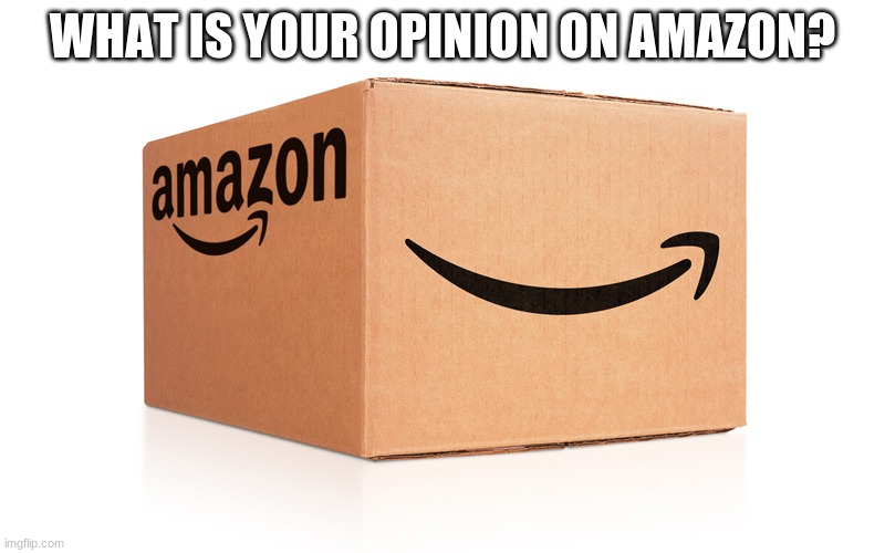 What's your opinion on the company Amazon? | WHAT IS YOUR OPINION ON AMAZON? | image tagged in amazon box | made w/ Imgflip meme maker