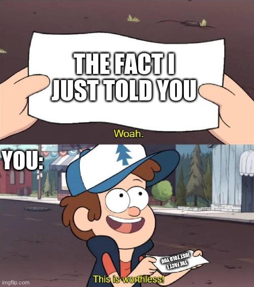 Dipper worthless | THE FACT I JUST TOLD YOU THE FACT I JUST TOLD YOU YOU: | image tagged in dipper worthless | made w/ Imgflip meme maker