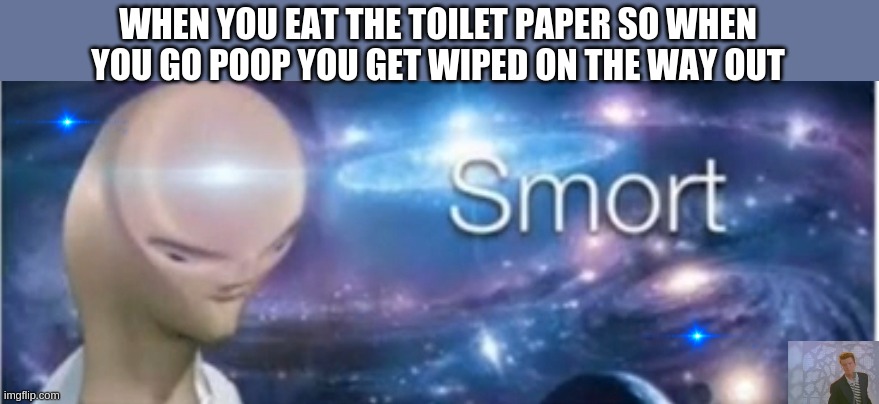 SMORT | WHEN YOU EAT THE TOILET PAPER SO WHEN YOU GO POOP YOU GET WIPED ON THE WAY OUT | image tagged in meme man smort | made w/ Imgflip meme maker