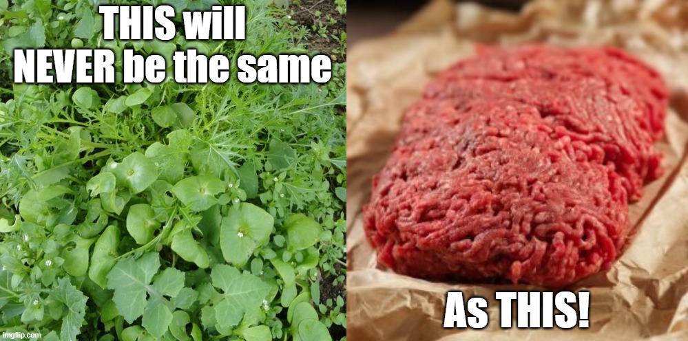 Plant-based | THIS will NEVER be the same; As THIS! | image tagged in meat | made w/ Imgflip meme maker