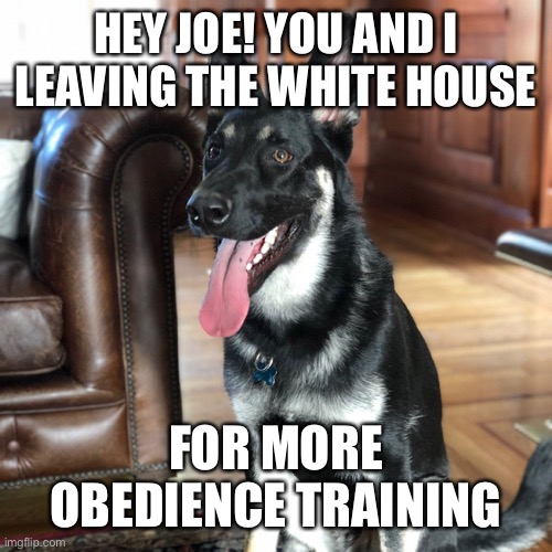 Joe is in trouble! It’s off to the dog house with Major! | HEY JOE! YOU AND I LEAVING THE WHITE HOUSE; FOR MORE OBEDIENCE TRAINING | image tagged in biden,in trouble,major,dog house,obedience training | made w/ Imgflip meme maker