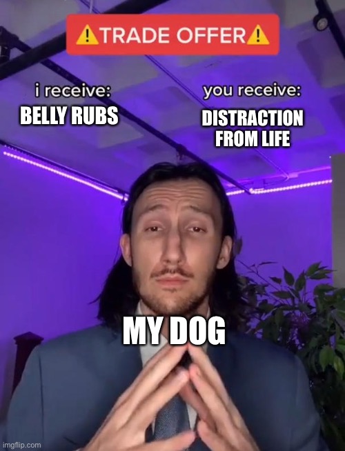 Trade Offer | DISTRACTION FROM LIFE; BELLY RUBS; MY DOG | image tagged in trade offer | made w/ Imgflip meme maker