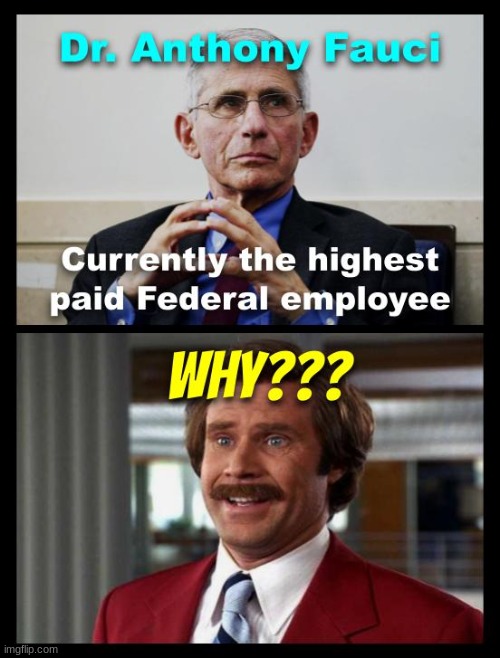 What a colossal waste of tax payers money | image tagged in anthony fauci,covid-19,politics,political | made w/ Imgflip meme maker
