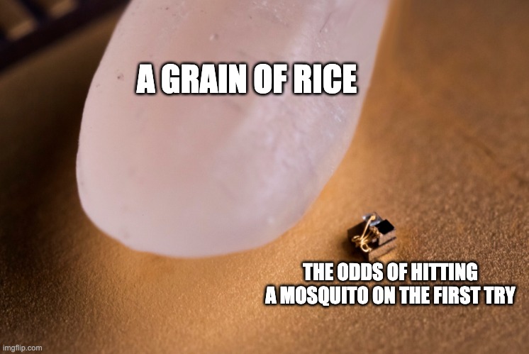 Grain Of Rice | A GRAIN OF RICE; THE ODDS OF HITTING A MOSQUITO ON THE FIRST TRY | image tagged in grain of rice | made w/ Imgflip meme maker
