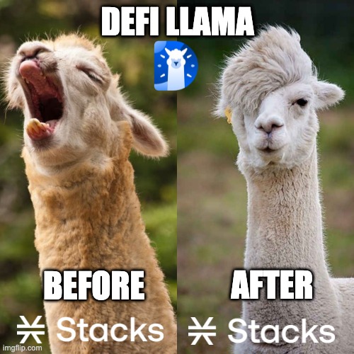 Stacks on Defi Llama | DEFI LLAMA; BEFORE; AFTER | image tagged in cryptocurrency,crypto,blockchain,bitcoin,btc | made w/ Imgflip meme maker