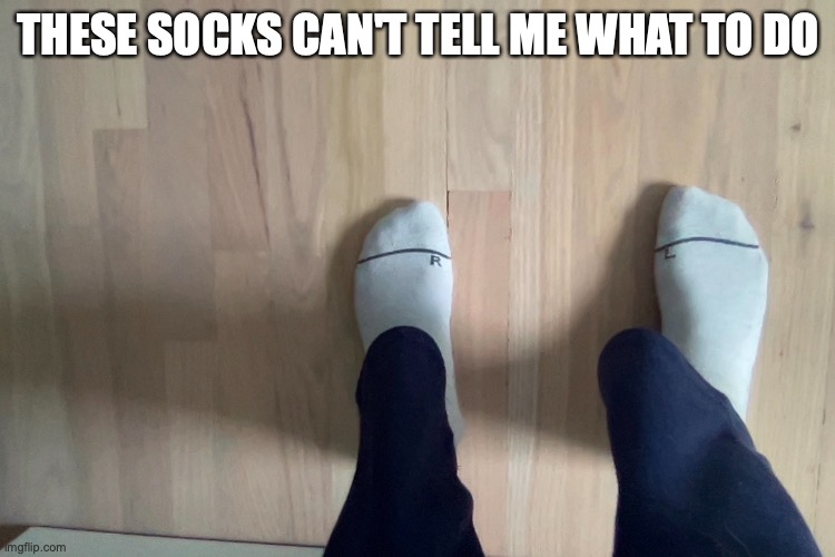 its true! | THESE SOCKS CAN'T TELL ME WHAT TO DO | image tagged in funny | made w/ Imgflip meme maker