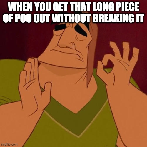 poo | WHEN YOU GET THAT LONG PIECE OF POO OUT WITHOUT BREAKING IT | image tagged in when x just right,poop | made w/ Imgflip meme maker