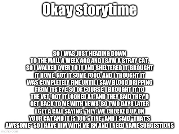 Blank White Template | SO I WAS JUST HEADING DOWN TO THE MALL A WEEK AGO AND I SAW A STRAY CAT, SO I WALKED OVER TO IT AND SHELTERED IT, BROUGHT IT HOME, GOT IT SOME FOOD, AND I THOUGHT IT WAS COMPLETELY FINE UNTIL I SAW BLOOD DRIPPING FROM ITS EYE, SO OF COURSE, I BROUGHT IT TO THE VET, GOT IT LOOKED AT, AND THEY SAID THEY'D GET BACK TO ME WITH NEWS, SO TWO DAYS LATER I GET A CALL SAYING, "HEY, WE CHECKED UP ON YOUR CAT AND IT IS 100% FINE" AND I SAID "THAT'S AWESOME" SO I HAVE HIM WITH ME RN AND I NEED NAME SUGGESTIONS; Okay storytime | image tagged in blank white template | made w/ Imgflip meme maker