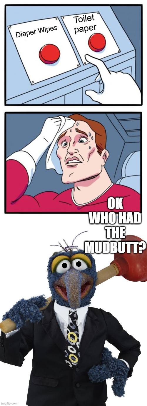 Toilet paper; Diaper Wipes; OK WHO HAD THE MUDBUTT? | image tagged in memes,two buttons,gonzo plunger | made w/ Imgflip meme maker