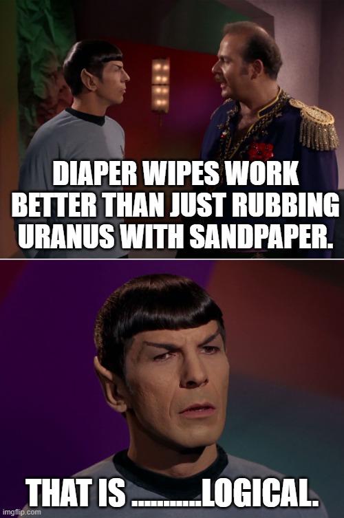 Spock Harry Mudd | DIAPER WIPES WORK BETTER THAN JUST RUBBING URANUS WITH SANDPAPER. THAT IS ...........LOGICAL. | image tagged in spock harry mudd | made w/ Imgflip meme maker