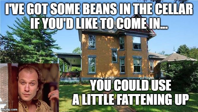 A Little Fattening Up | I'VE GOT SOME BEANS IN THE CELLAR
IF YOU'D LIKE TO COME IN... YOU COULD USE A LITTLE FATTENING UP | image tagged in silence of the lambs,funny,fava beans | made w/ Imgflip meme maker